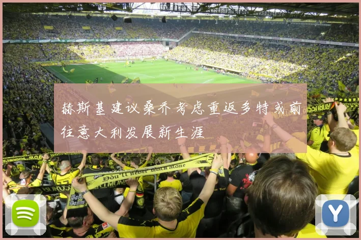 赫斯基建议桑乔考虑重返多特或前往意大利发展新生涯